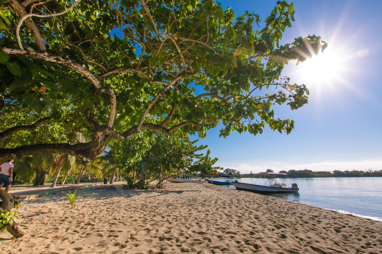 شقة Khalkob'S Estate Placencia المظهر الخارجي الصورة